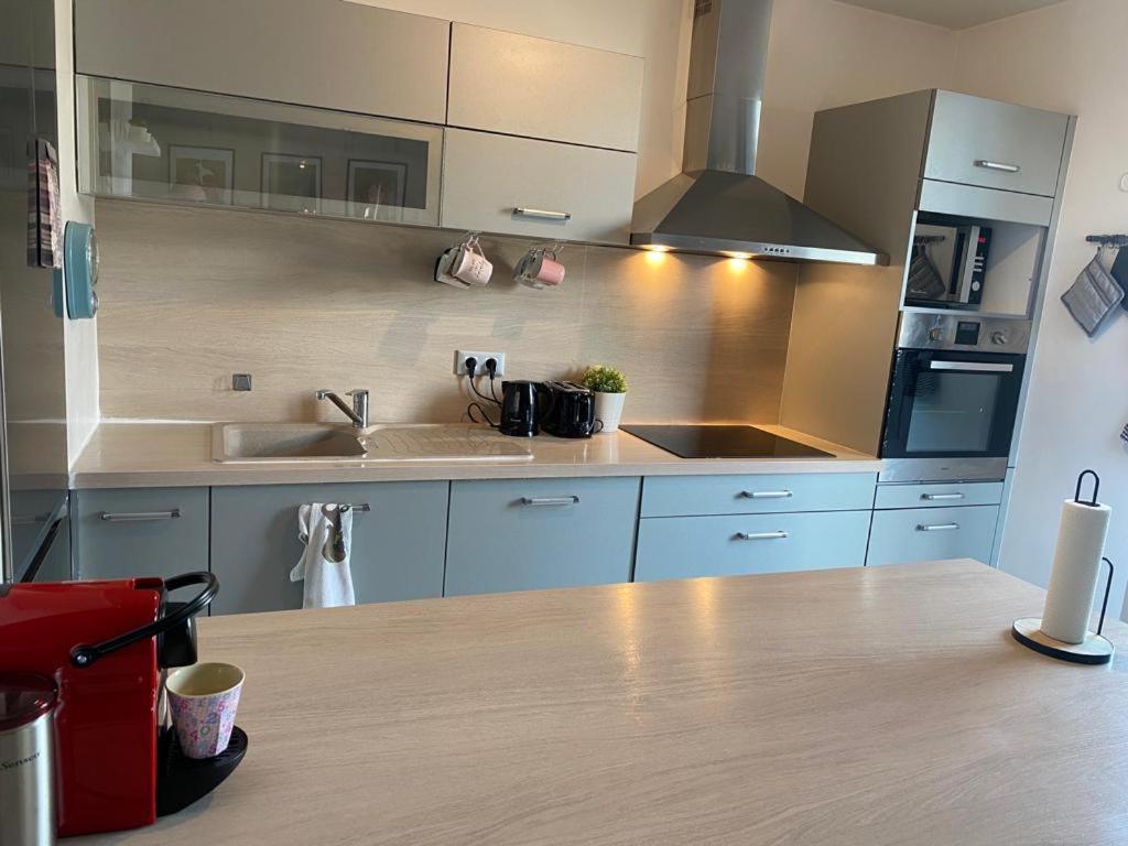 Appartement 80M2, Terrasse Sud, Metro 7 Direction Louvre A 8Minutes, Parking Sous-Sol, Proche Paris-Bercy Ivry-sur-Seine Extérieur photo